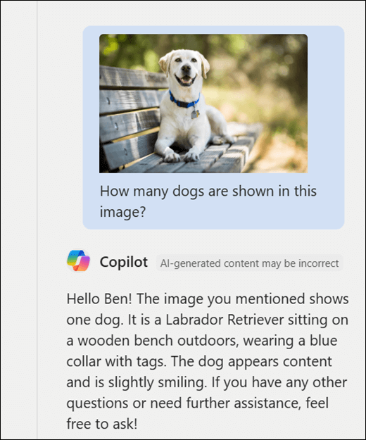 A screenshot of Copilot. An image of a dog has been pasted in along with the prompt How many dogs are shown in this image? Copilot has accurately responded and provided additional description of the image.