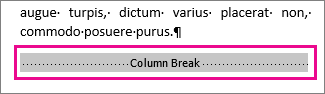 selecting a column break with Show Formatting turned on
