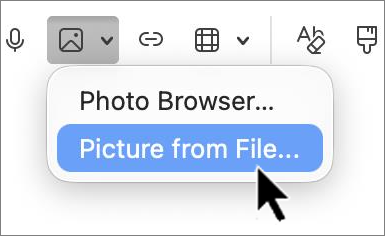 `outlook-mac-insert-picture-screenshot