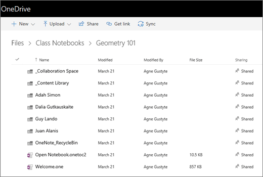 Screenshot of open notebook.