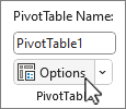 PivotTable Options button on the ribbon for layout and formatting settings