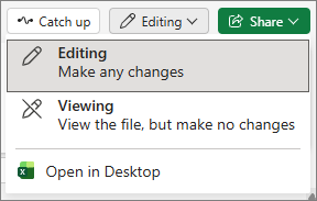 Button to Edit in Excel