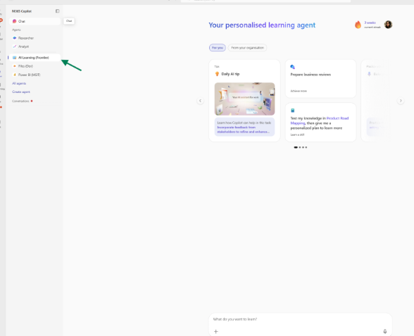 Learning Agent setup complete